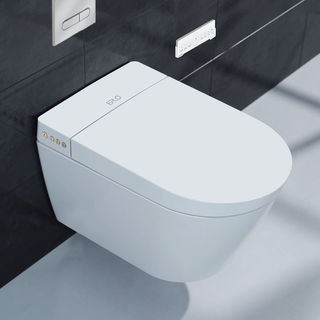 Wall-Hung Toilet