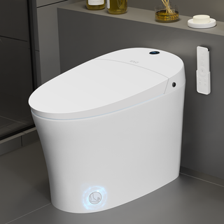 EPLO Smart Toilet,Luxury One Piece Toilet with Heated Bidet Seat,Auto Flush & LED Light E16