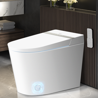EPLO Smart Toilet Bidet, One-Piece Tankless, Heated Seat, Auto Flush & LED Display G20