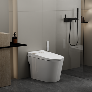 EPLO Smart Toilet Bidet, One-Piece Tankless, Heated Seat, Auto Flush & LED Display G20