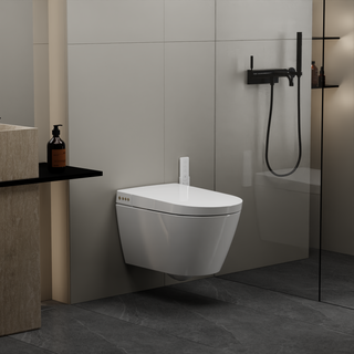 EPLO Wall-Hung Smart Toilet, One-Piece Elongated Bidet with Heated Seat & Auto Flush W20