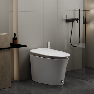 EPLO Luxury Smart Toilet, One-Piece Bidet with Heated Seat, Foam Dispenser, Warm Water & Dryer EQ7/IX7